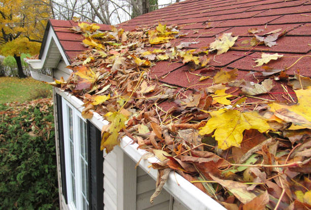 Affordable Gutter Cleaning Near Me Serving Indianapolis Area